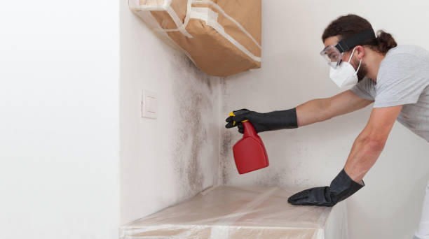 Professional Bathroom Mold Removal technician working in Highland, MD
