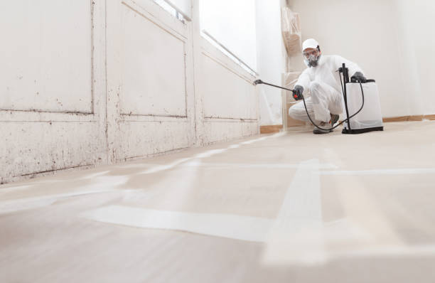 24/7 Emergency Bathroom Mold Removal experts in Highland, MD