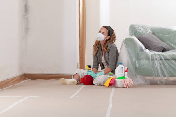 Reliable Bathroom Mold Removal contractor in Highland, MD by Mold Remediation HQ